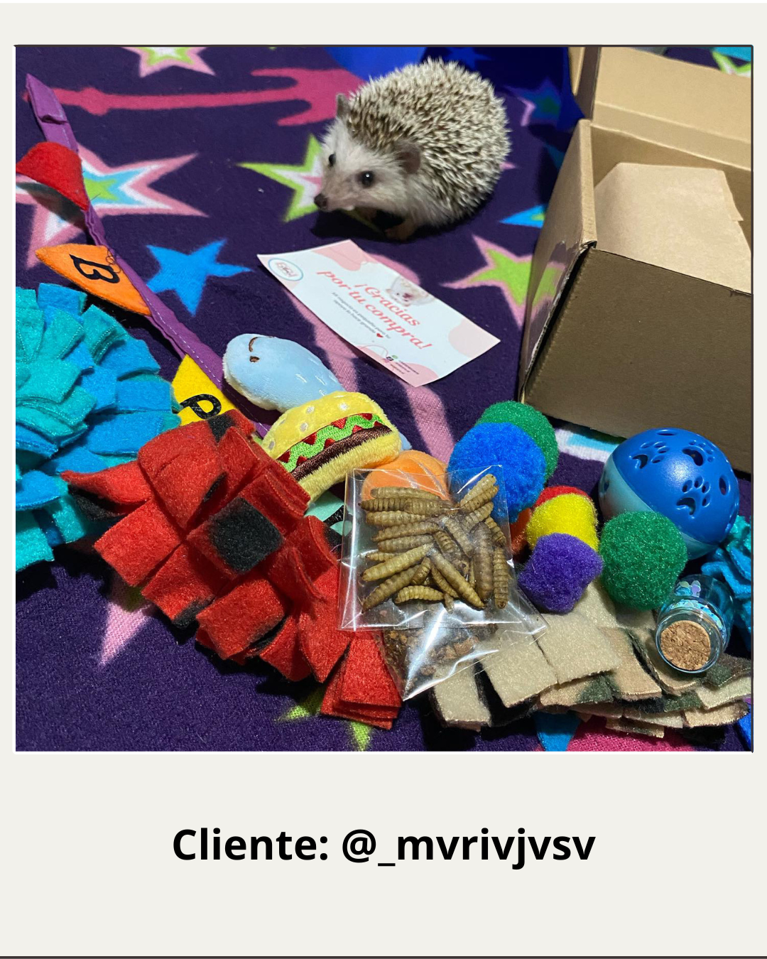 Kit de Juguetes para Erizos