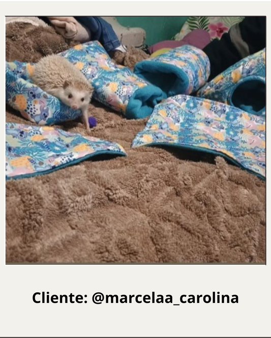 Guarida Pirámide - Ohana Vibes