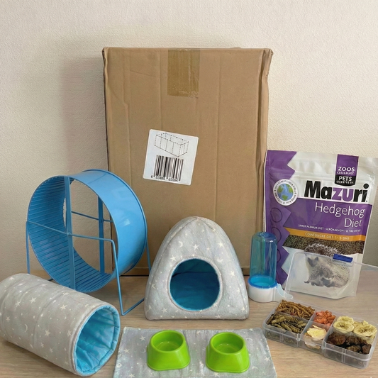 Kit de Bienvenida Premium para Erizos de Tierra