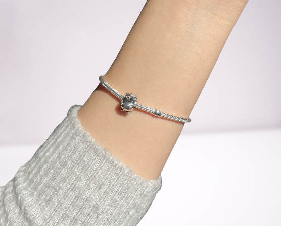 Pulsera de Plata con dije Erizo