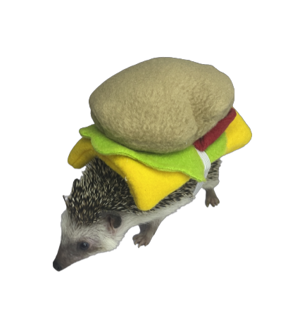 Disfraz de Hamburguesa para Erizos