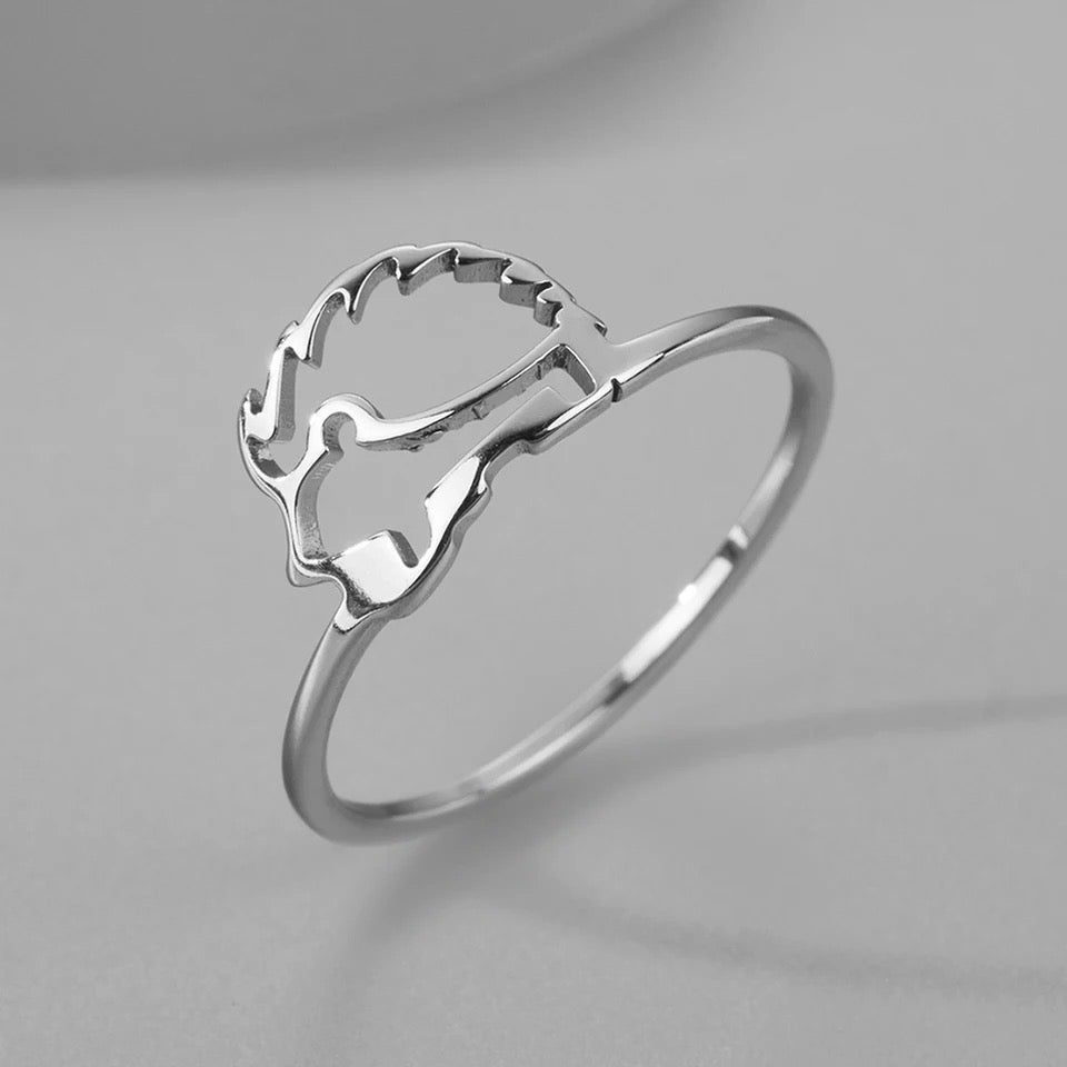 Anillo de Erizo Color Plata