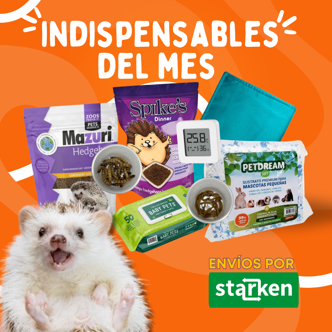 ¡Indispensables!