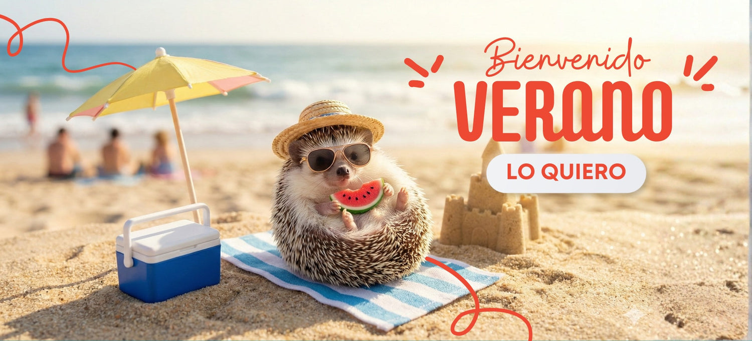 ¡Verano 25/26!