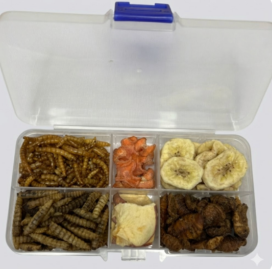 Combo de Snacks para Erizos