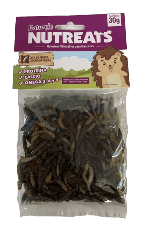 larvas de mosca nutreats 30g
