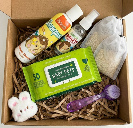 Kit de Belleza para Erizos – Cuidado Completo