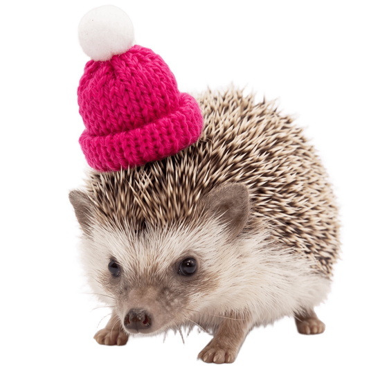 Mini Gorrito Tejido con Pompón