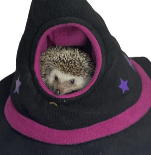 Guaridas Halloween - Sombrero de Brujas